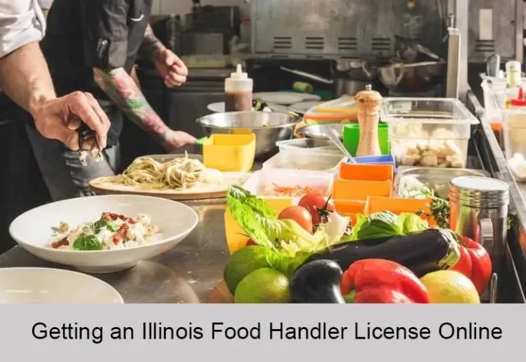Getting an Illinois Food Handler License Online