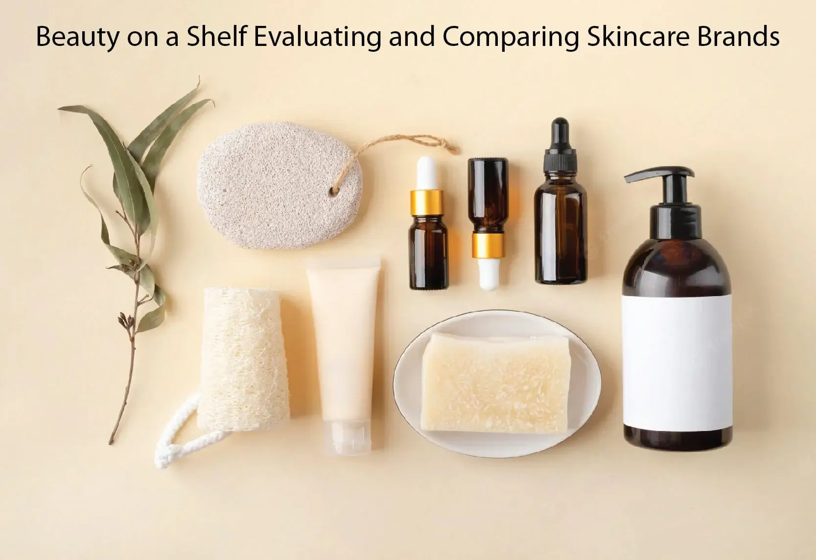 Beauty on a Shelf Evaluating and Comparing Skincare Brands - Everyday Visit