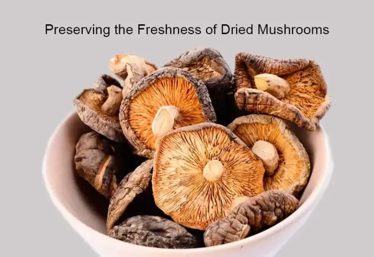 Preserving the Freshness of Dried Mushrooms: Tips and Techniques for Proper Storage