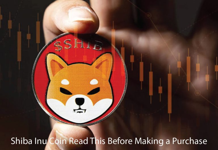 Shiba Inu Coin Read This Before Making a Purchase